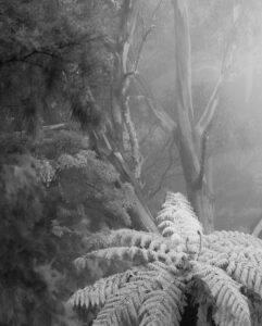 BELLEUX Christian (2025)