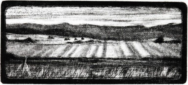 DOUILLARD Nathalie (2025)