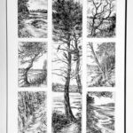 DI COSTANZO Christine (2026)