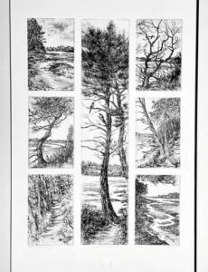 DI COSTANZO Christine (2026)