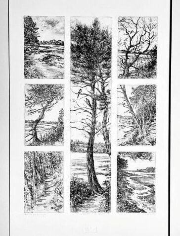 DI COSTANZO Christine (2026)