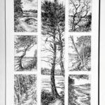 DI COSTANZO Christine (2026)