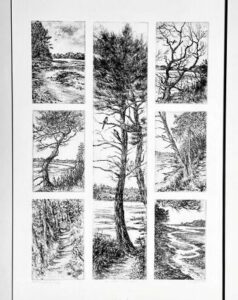 DI COSTANZO Christine (2026)