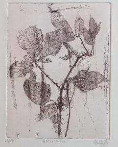 LE GOFF Brigitte (2025)