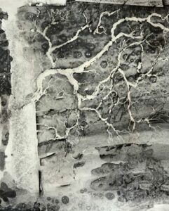 RAASCH Hartmut (2025)