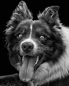 SAINTE-CLUQUE Claude (2025)