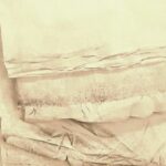 SUTTON Christine (2026)