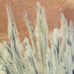 LE DOUDIC Daniel (2026)