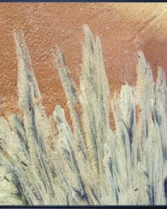 LE DOUDIC Daniel (2026)