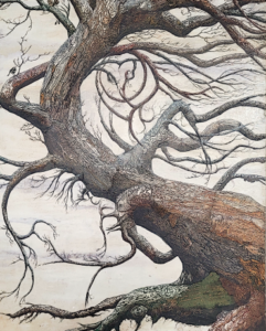 MESMIN Jean-Michel Adrien (2026)