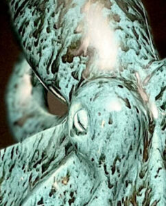 DUMOLLARD Anne (2024)