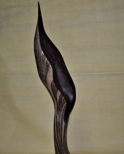 WITTEBOLLE Cédric (2024)