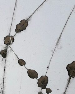 BEAUMES – KUHN Marie-Pierre (2025)