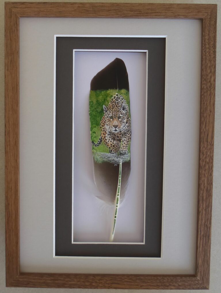 COTTENDIN Robert (2025)