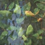 DELALANDE Brigitte (2026)