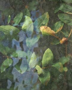 DELALANDE Brigitte (2026)