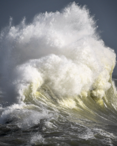 MAREY-VIGNARD Latifa (2025)