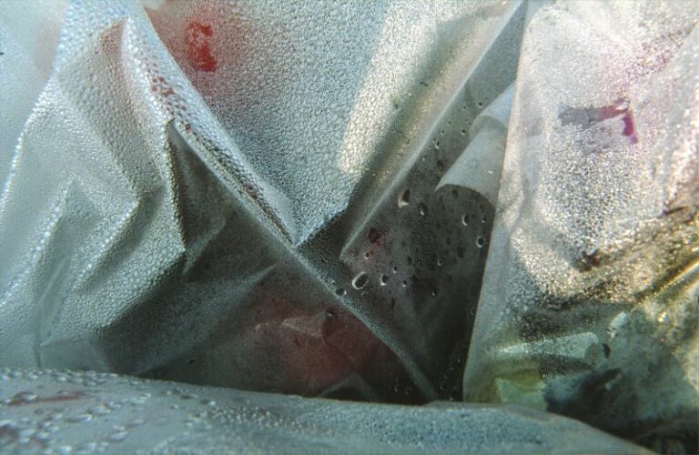 MOREAU Bernard (2025)