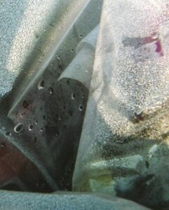 MOREAU Bernard (2025)