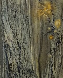 MOURET Martine (2025)