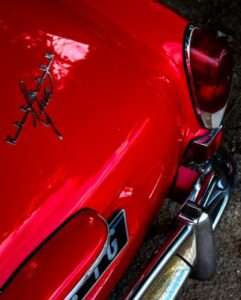 NEVEU Baptiste (2025)