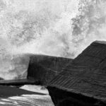 THIEFFRY Nicole (2026)