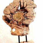 PIGNON Pascal (2026)