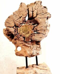 PIGNON Pascal (2026)