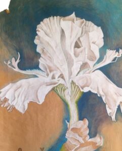 GEINGUENE Carole (2026)