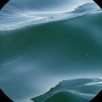 MOREAU Bernard (2026)