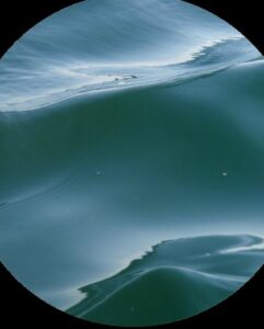 MOREAU Bernard (2026)