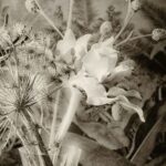 PREUSS Marie-Annick (2026)