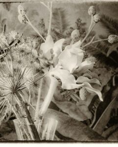 PREUSS Marie-Annick (2026)