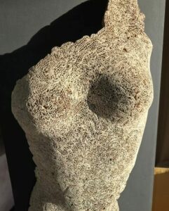 QUEMENER David (2026)