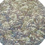 BESCOND Béatrice (2026)