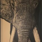 FILLEUL Clément (2026)