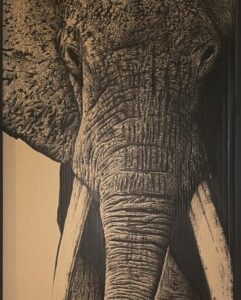 FILLEUL Clément (2026)